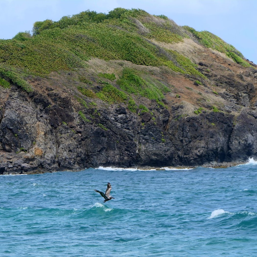 Plage de l’Anse l’Etang 3